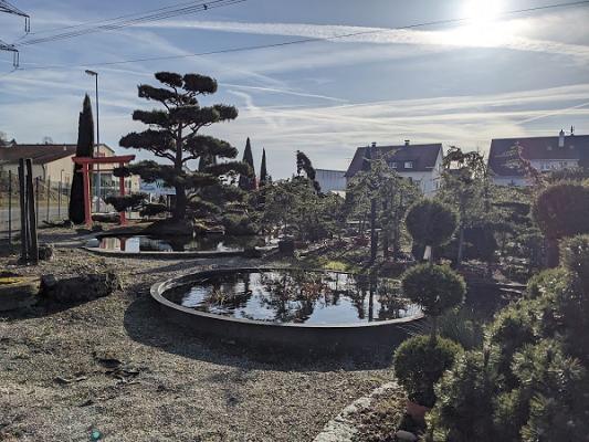 Wiggenhauser Gartenbau GmbH