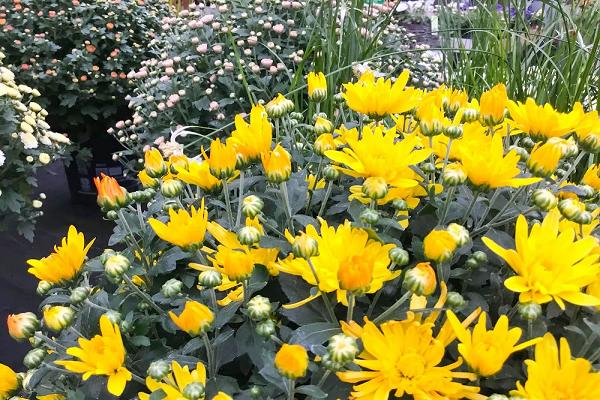 682e15593e622
