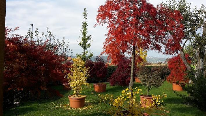Gartengestaltung Herbert Peters