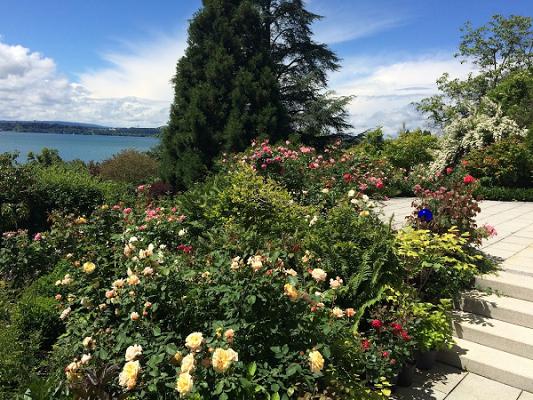 Daniel Schwarz Landschäftsgärtner