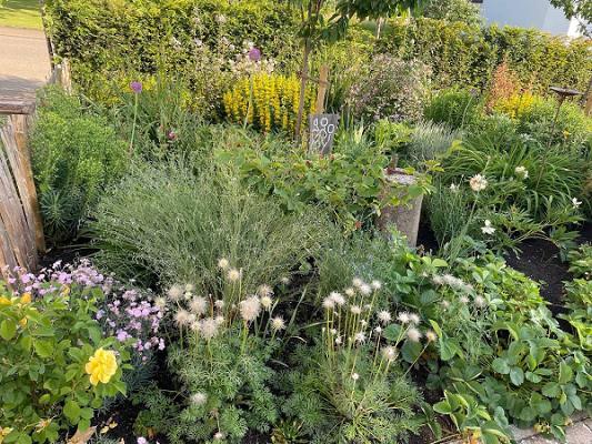 Daniel Bronner Gartenbau