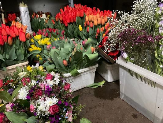 Christine Sonntag Gärtnerei