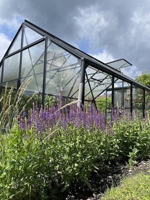 Katharina Wester Gartenplanung