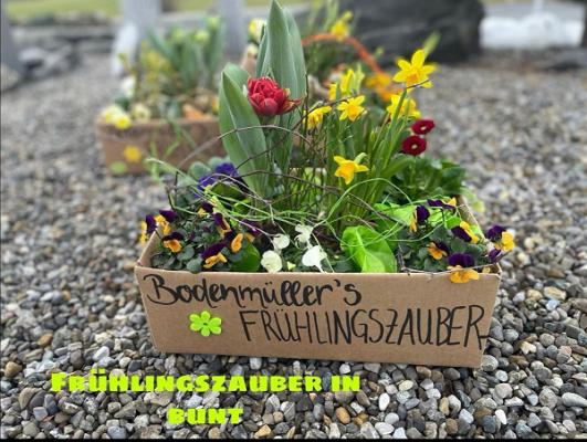 Gärtnerei & Floristik Bodenmüller
