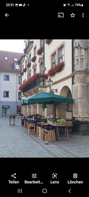 Armin Laux Gartenbau