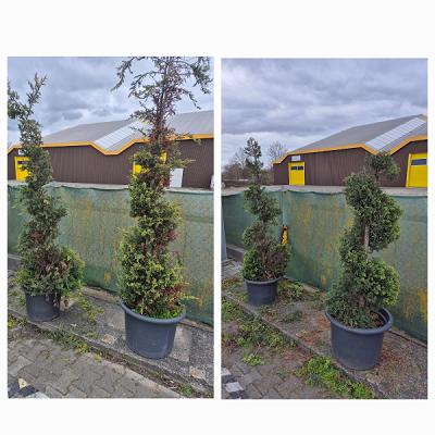 Haus und Gartenservice Grgacevic