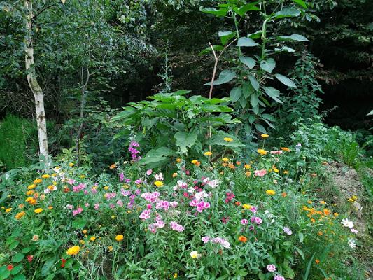 Annis Gartenparadies