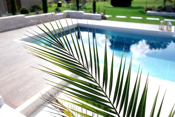 Mathias Hipper Landscape & Design