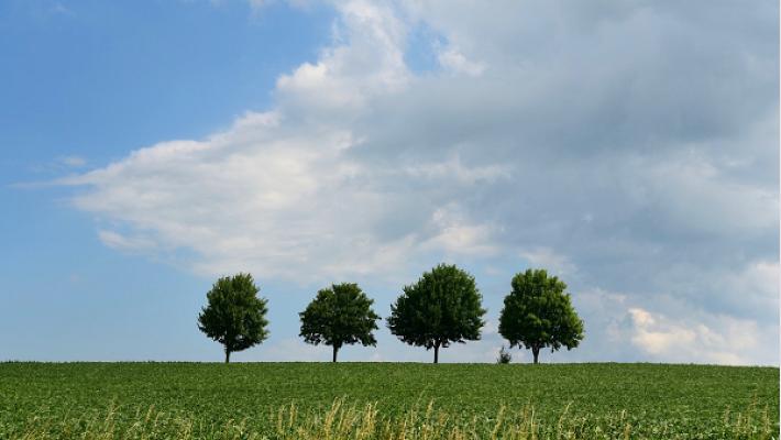 Garten- und Landschaftspflege Tobias Moosmayer