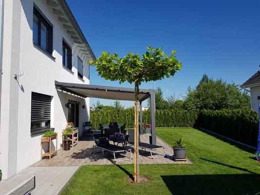 mb-Garten Bellenberg Martin Blasius