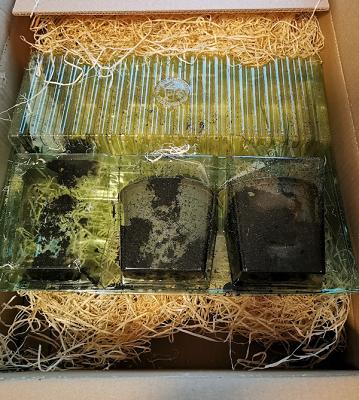 Schlegel & Co. Gartenprodukte GmbH