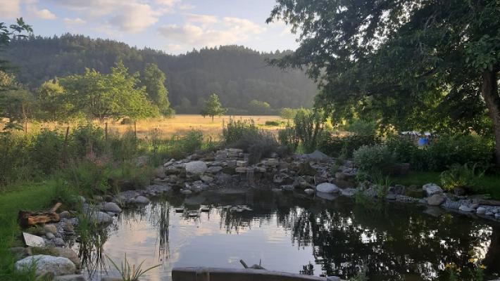 Flesch Garten- und Landschaftsbau