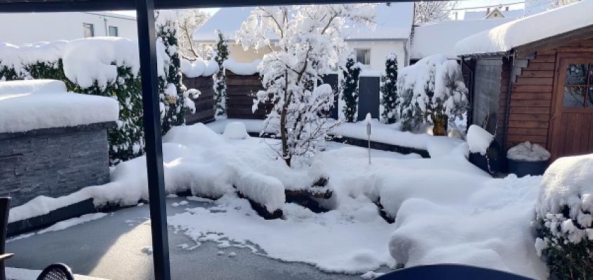 MFG Gartengestaltung GbR