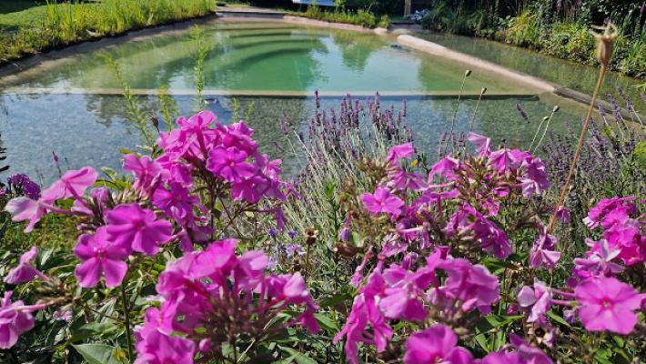 Teichservice Bodensee