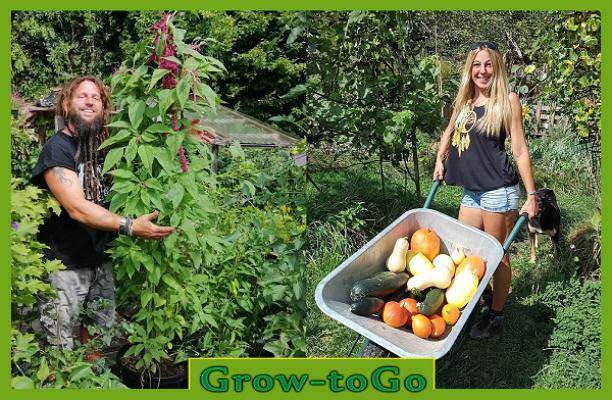 Bermatinger-Straßenladen