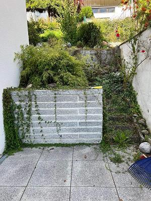 Green Haus und Gartenservice