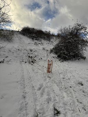 Yannis Hagebuttengarten