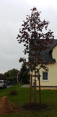 682dd8c4476e4