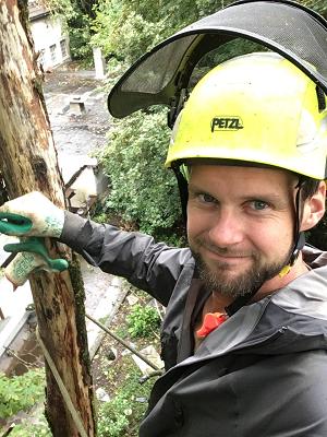 Seidler Garten- und Baumpflege