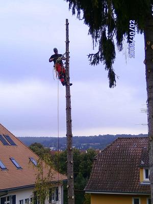 Schilling Ulmer Baumpflege & Gartengestaltung