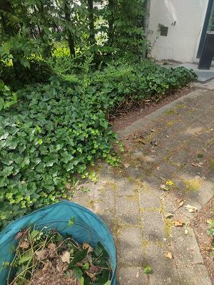 Landschaftspflege Bolle
