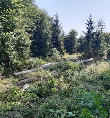 Gerkens Forstwirtschaft & Gartenpflege