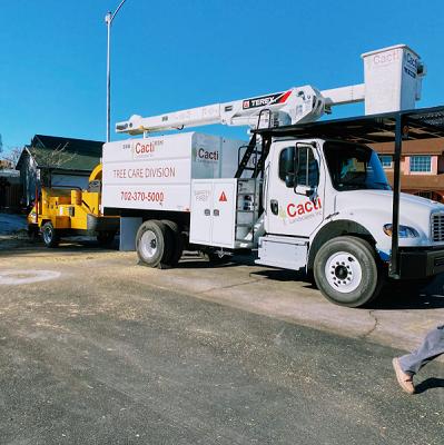 Cacti Landscapes Las Vegas