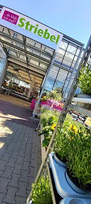 Striebel Haus des Gartens GmbH