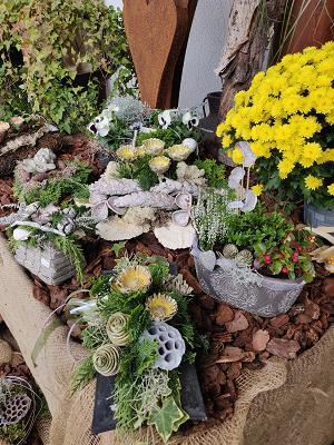 Gartenwelt Donautal (ehem. Baumschule Schmid)