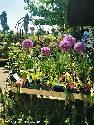 Donautal Gartenwelt