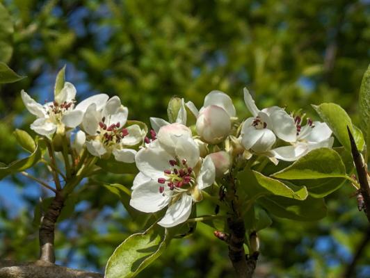 SinnGarten Altheim Alb