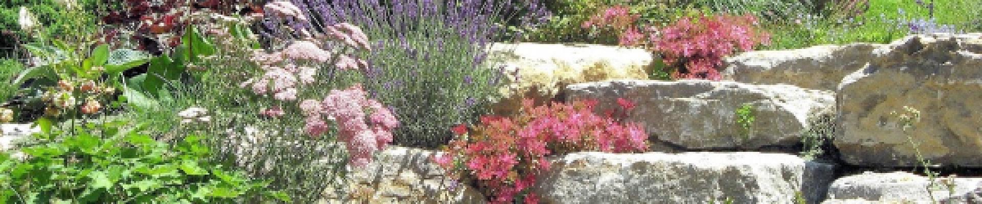 Schawalder Gartenbau AG