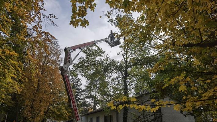 Rutsch | Garten- und Hausservice