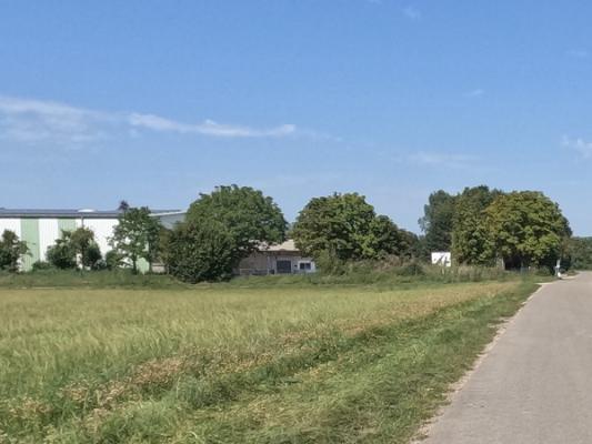 Gartenbauzentrale Main-Donau eG