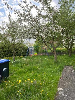 Garten Kunst Trym