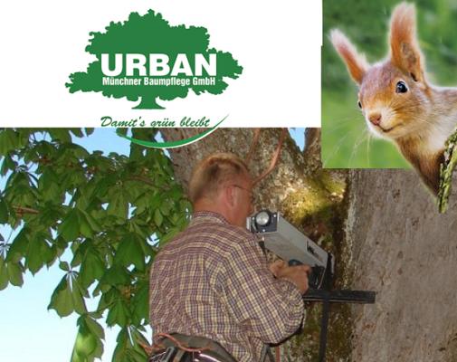 Urban Münchner Baumpflege GmbH
