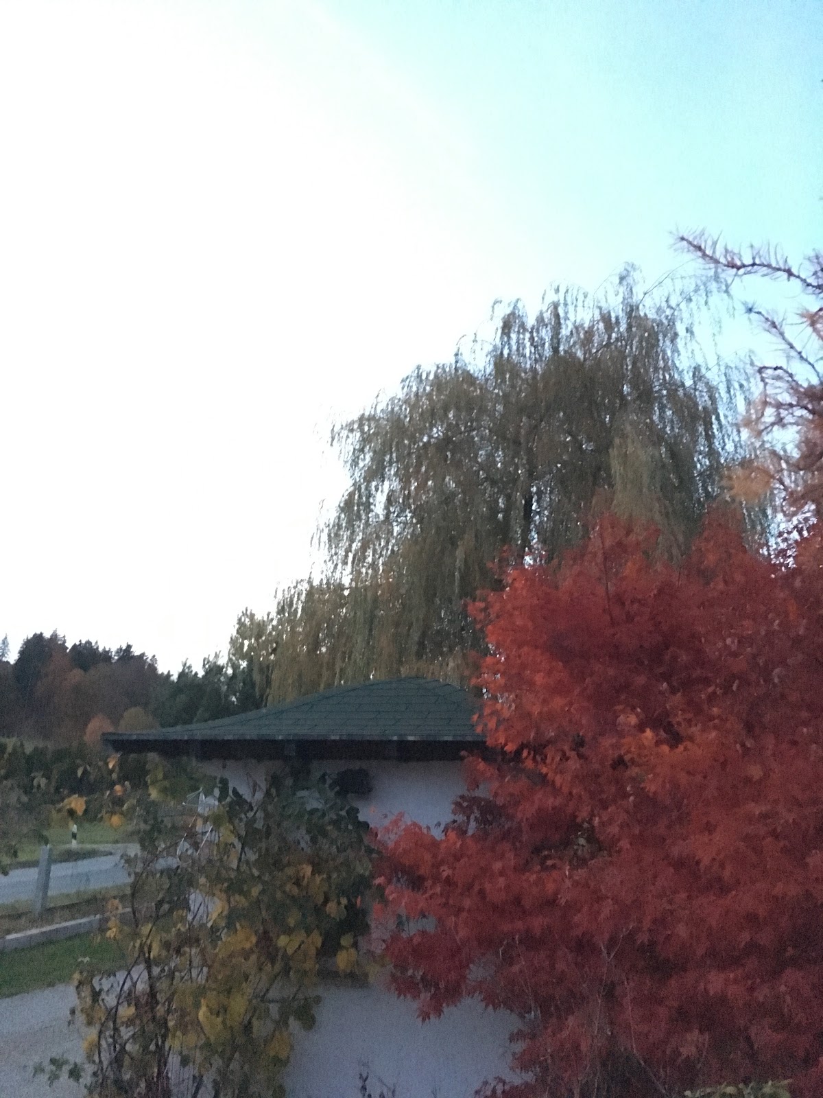 682e1bb0b9194