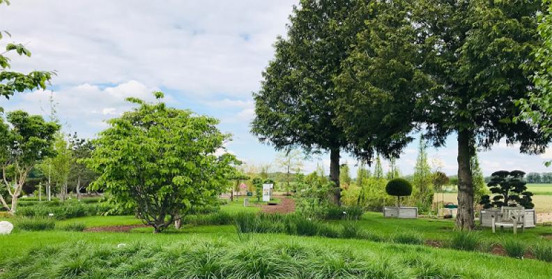 Baumschule Lorenz von Ehren GmbH & Co. KG