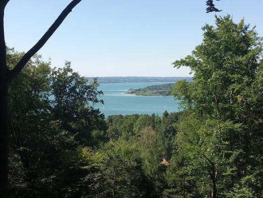 Amir Basic Garten- und Landschaftsbau