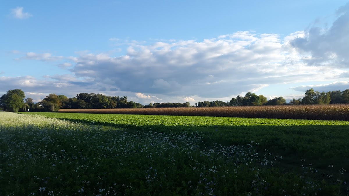 682e1d8021457