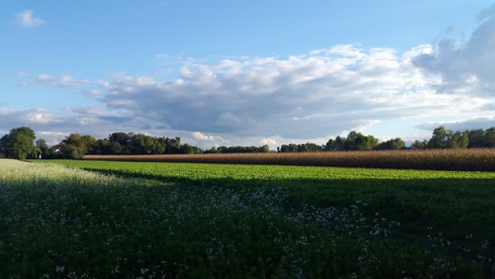 682e1d8021457