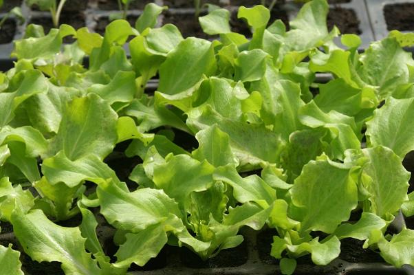 682e1d9712b8f