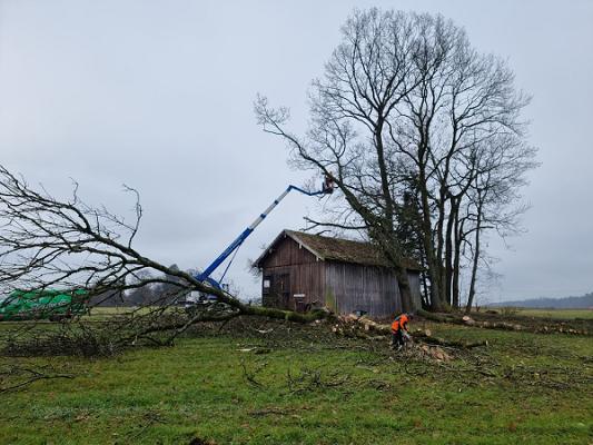 Sebastian Singer Garten- und Landschaftsbau