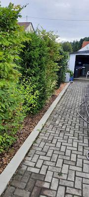 682e1eb631d87