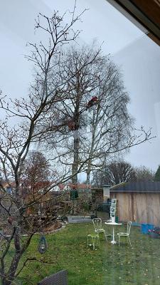 Haus & Garten Dienstleistung Baller