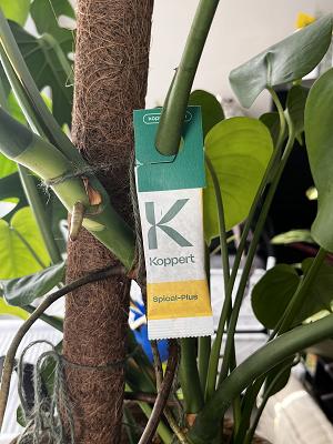 GrünTeam Garten-Shop