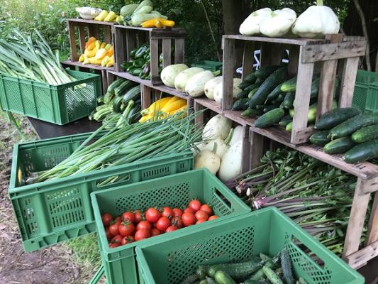 Schaufel & Gabel GbR