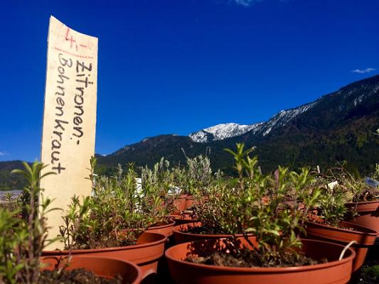 Garten Eden & Wochenmarkt Murnau, Penzberg, Garmisch