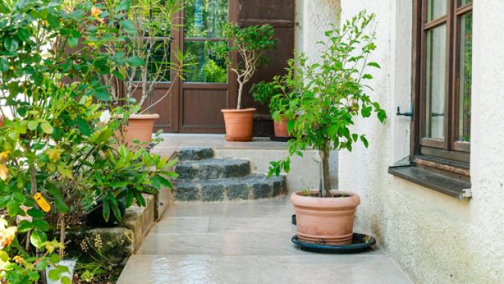 Leaf. Garten- und Landschaftsbau | Baum- und Gartenpflege