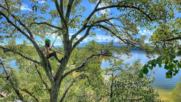 Baum- & Gartenpflege Hendrik Scheer